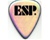 ESP Signature Guitar Pick